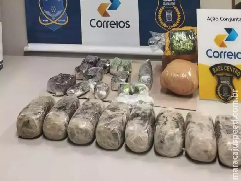 Maconha "gourmet" de R$ 2,5 milhões é apreendida nos Correios Maconha "gourmet" de R$ 2,5 milhões é apreendida nos Correios