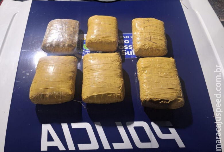 Passageiro de ônibus é flagrado com skunk em barreira policial Passageiro de ônibus é flagrado com skunk em barreira policial