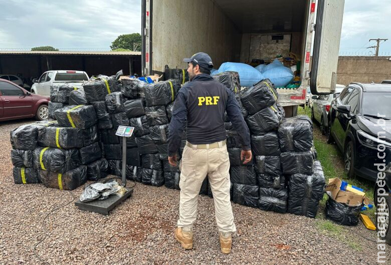 Polícia apreende 2,6 toneladas de maconha e munições na BR-163 Polícia apreende 2,6 toneladas de maconha e munições na BR-163