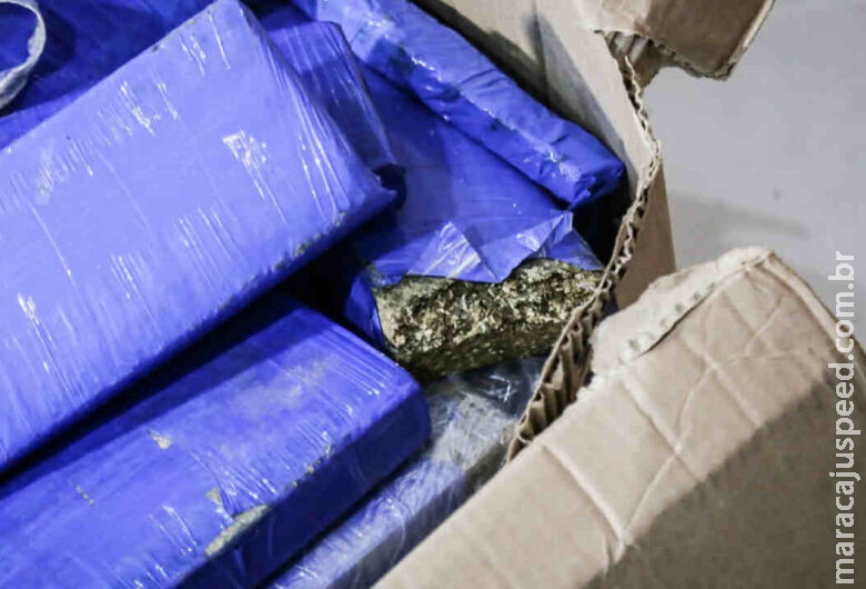 Polícia descobre entreposto de maconha, arma e munições Polícia descobre entreposto de maconha, arma e munições
