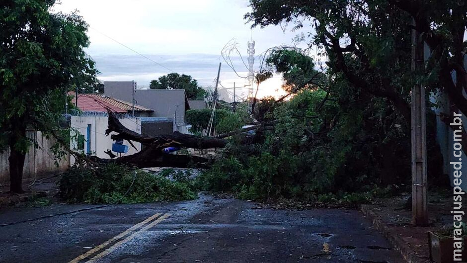 Prepara o guarda-chuva: chuvas intensas estão previstas até sábado em boa parte de MS Prepara o guarda-chuva: chuvas intensas estão previstas até sábado em boa parte de MS