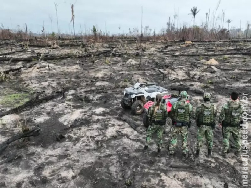 AGU cobra R$ 76 milhões de desmatadores em cinco biomas
