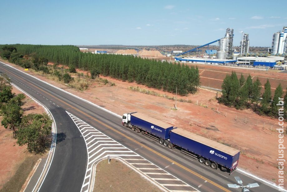 Celulose, carne bovina e China garantem mais da metade das exportações de MS Celulose, carne bovina e China garantem mais da metade das exportações de MS