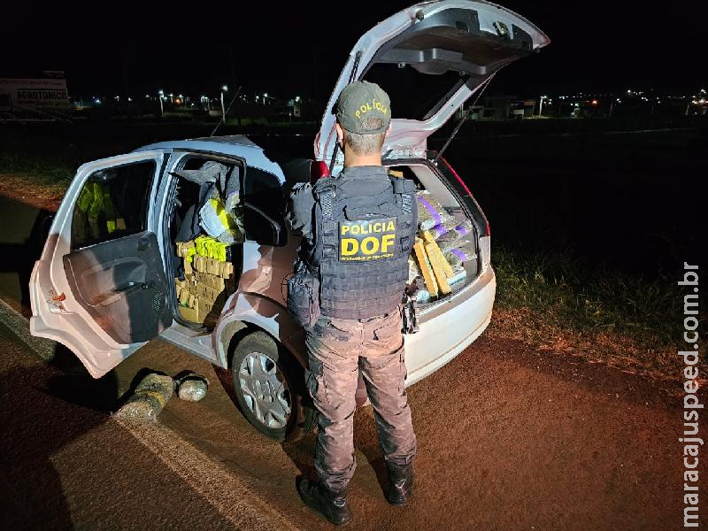 Maracaju: DOF apreende mais de 700 quilos de drogas que seguiam para Sidrolândia 