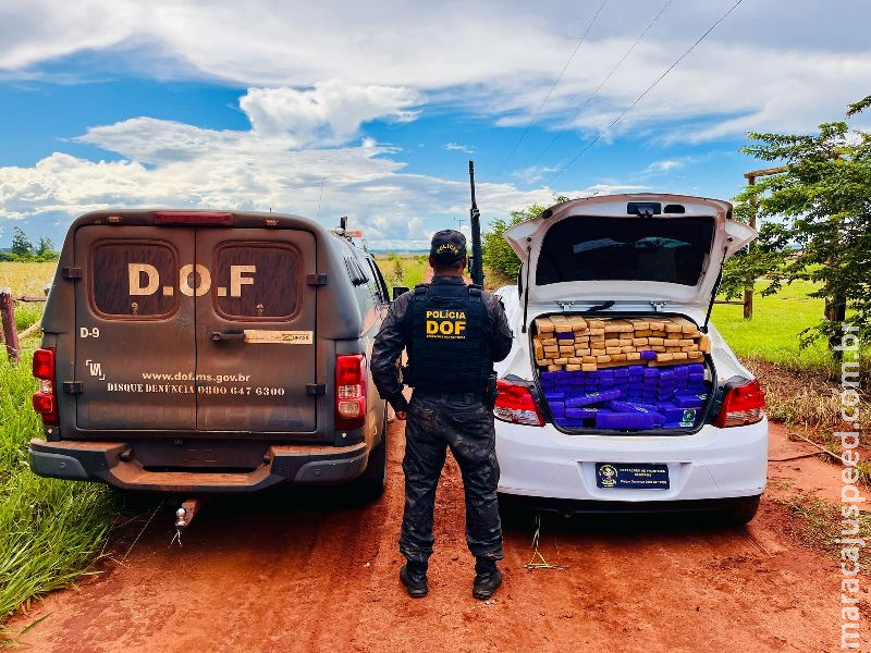 DOF apreende mais de meia tonelada de maconha em Ponta Porã DOF apreende mais de meia tonelada de maconha em Ponta Porã
