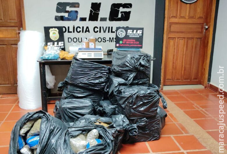 Droga apreendida em entreposto no Parque das Nações II ultrapassou 300 quilos Droga apreendida em entreposto no Parque das Nações II ultrapassou 300 quilos