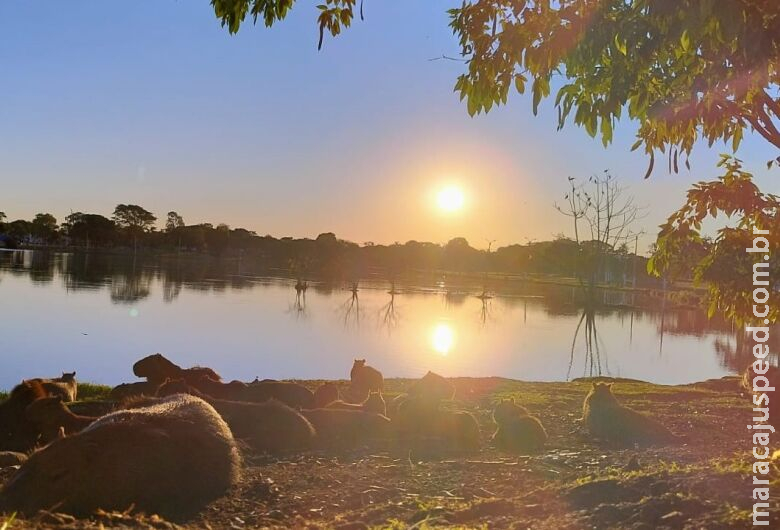 Em meio a onda de calor, previsão aponta para fim de semana acima dos 35ºC em Dourados