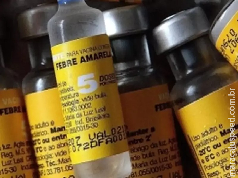 Estado de SP registra 20 mortes por febre amarela desde dezembro Estado de SP registra 20 mortes por febre amarela desde dezembro