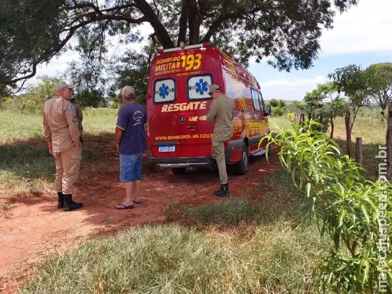 Homem com tatuagem nas costas é encontrado morto em fazenda de MS Homem com tatuagem nas costas é encontrado morto em fazenda de MS