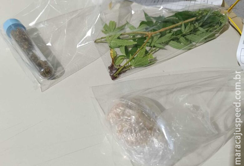 Homem que cultivava pé de maconha em casa é preso com drogas Homem que cultivava pé de maconha em casa é preso com drogas