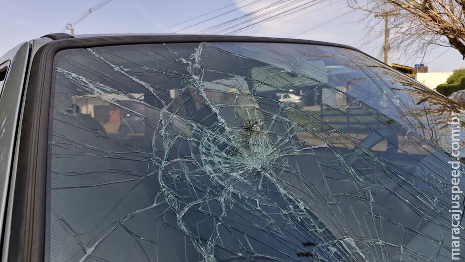 Jovem embriagada é presa por destruir a casa do namorado em Campo Grande Jovem embriagada é presa por destruir a casa do namorado em Campo Grande