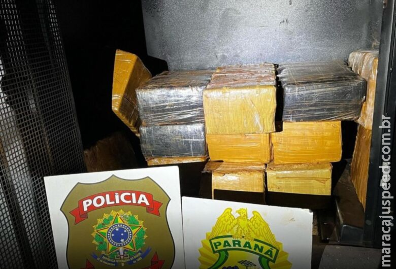 Mais de 200kg de maconha são encontrados às margens de lago próximo a divisa entre PR e MS Mais de 200kg de maconha são encontrados às margens de lago próximo a divisa entre PR e MS