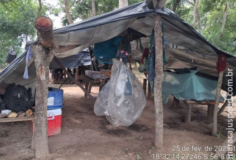 MPT-MS quer fazenda flagrada com trabalho escravo repassada à Reforma Agrária MPT-MS quer fazenda flagrada com trabalho escravo repassada à Reforma Agrária