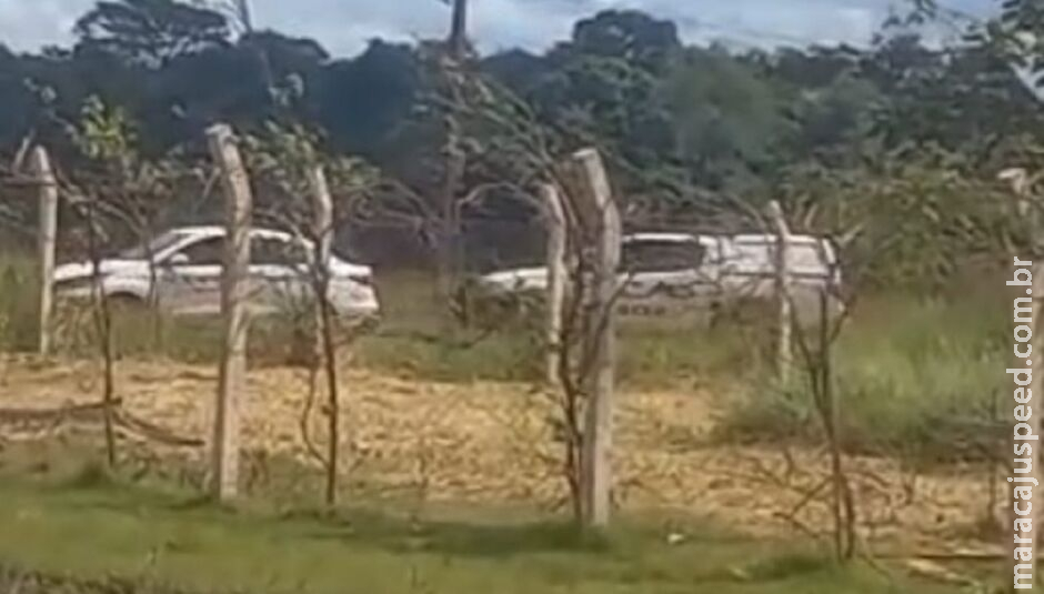 Mulher é assassinada a tiros e corpo deixado em mata de Ponta Porã Mulher é assassinada a tiros e corpo deixado em mata de Ponta Porã