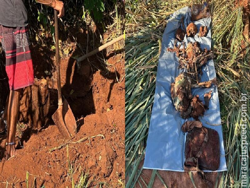 Ossada de jovem desaparecida há 4 meses é encontrada em Eldorado Ossada de jovem desaparecida há 4 meses é encontrada em Eldorado