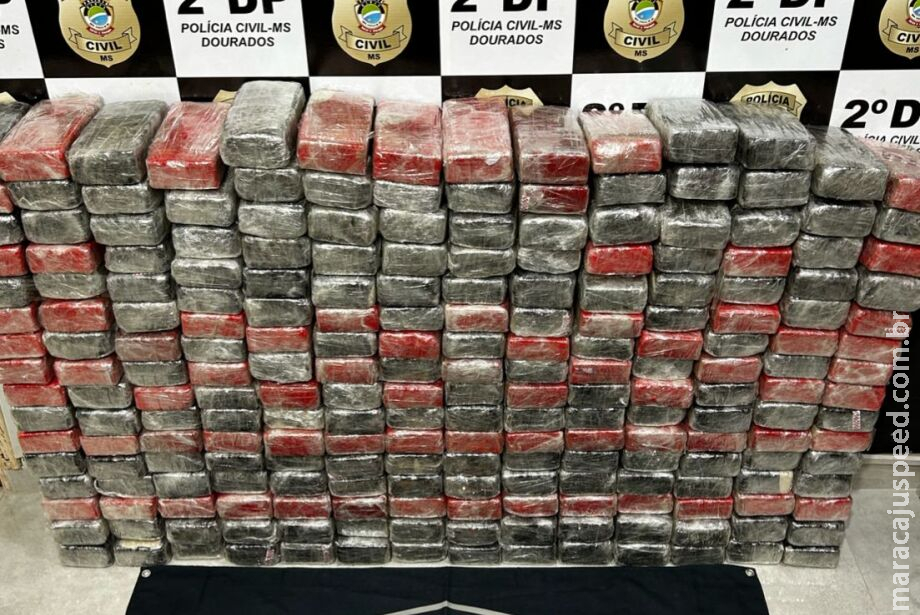 Polícia apreende R$ 15 milhões em cocaína em carga de produto de limpeza Polícia apreende R$ 15 milhões em cocaína em carga de produto de limpeza