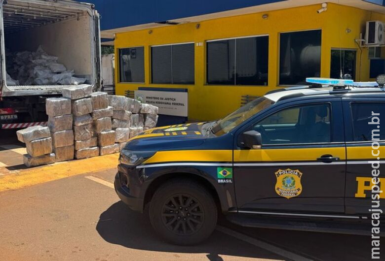 Quase uma tonelada de maconha é apreendida em carga de carne Quase uma tonelada de maconha é apreendida em carga de carne