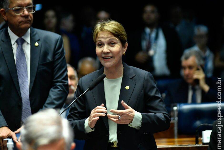 Senado aprova PEC de Tereza Cristina que classifica Pantanal de MS como patrimônio nacional Senado aprova PEC de Tereza Cristina que classifica Pantanal de MS como patrimônio nacional
