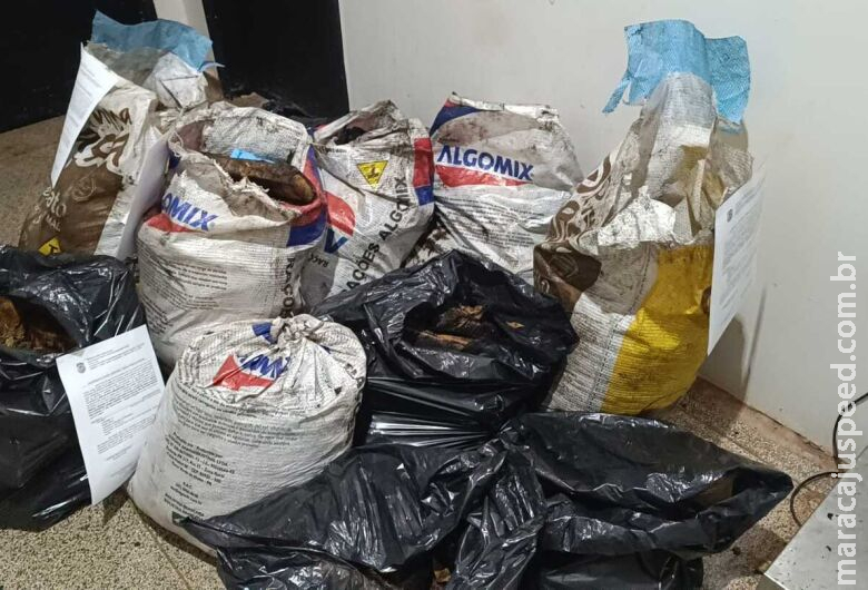 Veículo pega fogo com mais de 200kg de maconha em estrada vicinal Veículo pega fogo com mais de 200kg de maconha em estrada vicinal