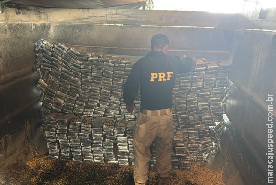 Apreensão de cocaína na divisa do PR com MS é a maior do ano da PRF Apreensão de cocaína na divisa do PR com MS é a maior do ano da PRF