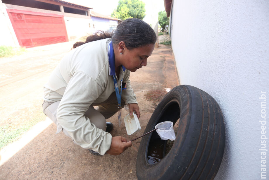 Casos de dengue e Chikungunya aumentam na área rural de MS Casos de dengue e Chikungunya aumentam na área rural de MS