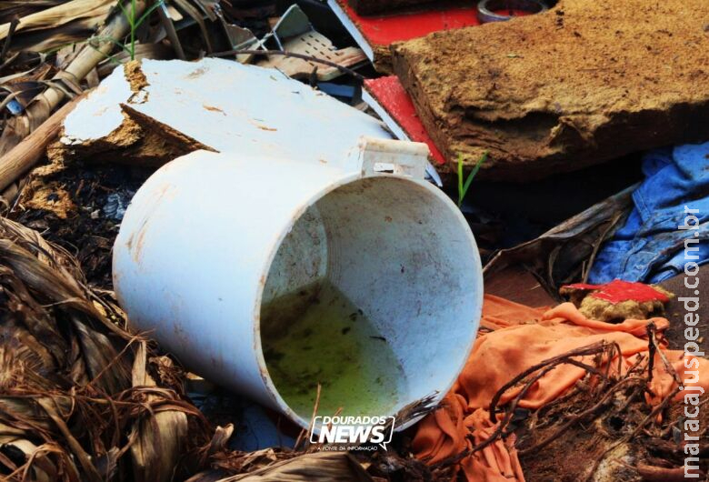Com oito mortes em investigação, dengue tem mais de 3,6 mil casos confirmados em MS