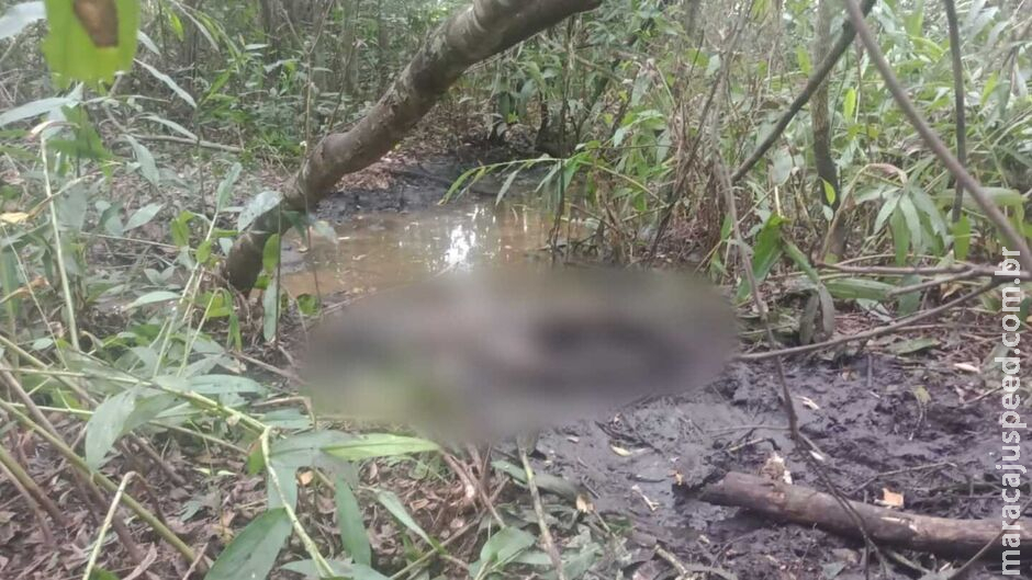 Corpo encontrado em córrego no distrito de Anhanduí é identificado Corpo encontrado em córrego no distrito de Anhanduí é identificado