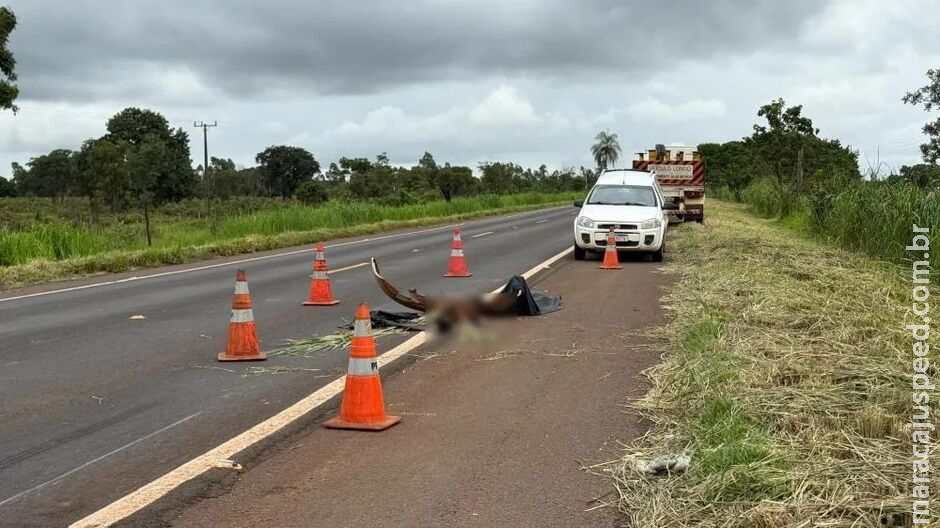 Criança morre em acidente na BR-267, em Nova Alvorada do Sul Criança morre em acidente na BR-267, em Nova Alvorada do Sul