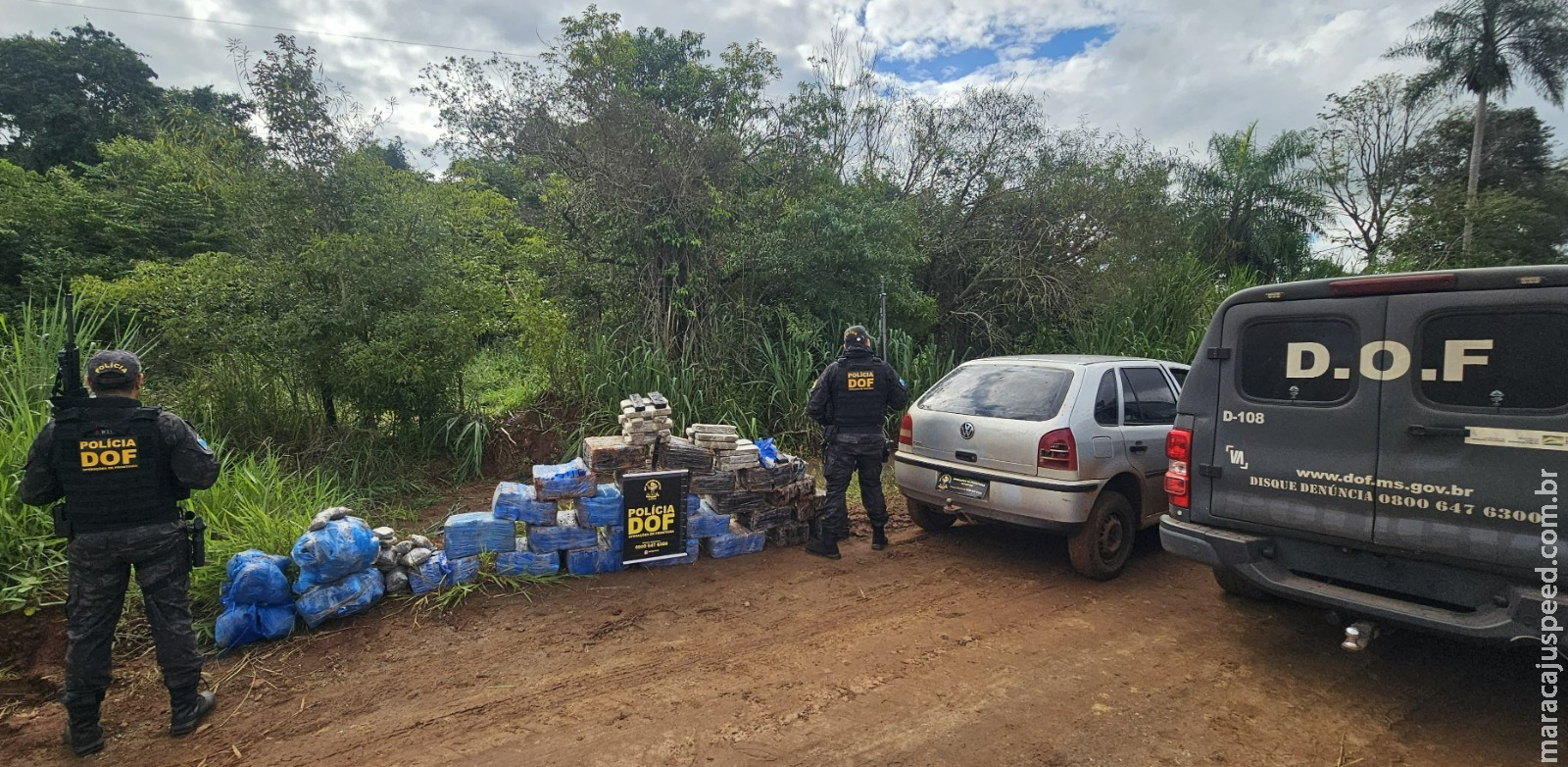 DOF apreende mais de meia tonelada de droga em meio a mata em Amambai DOF apreende mais de meia tonelada de droga em meio a mata em Amambai