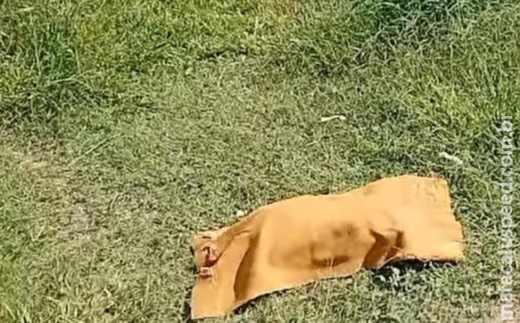 Feto é encontrado em matagal em Corumbá Feto é encontrado em matagal em Corumbá