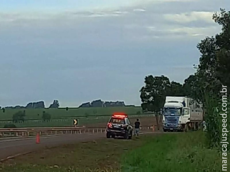 Homem morre ao ser atropelado por carreta na rodovia BR-262 Homem morre ao ser atropelado por carreta na rodovia BR-262