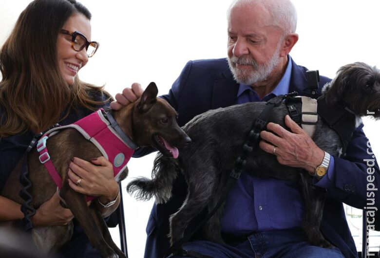 Lula lança programa de identificação e proteção de cães e gatos