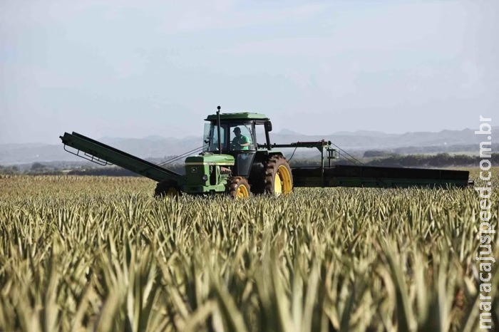 Mais de 35 mil fazendas podem ser desapropriadas pela União em MS; entenda Mais de 35 mil fazendas podem ser desapropriadas pela União em MS; entenda