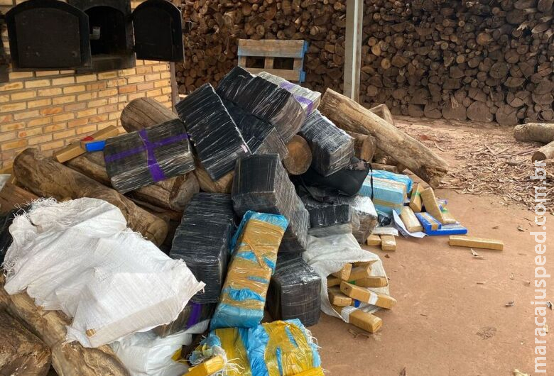 Mais de três toneladas de drogas são incineradas em ação Mais de três toneladas de drogas são incineradas em ação