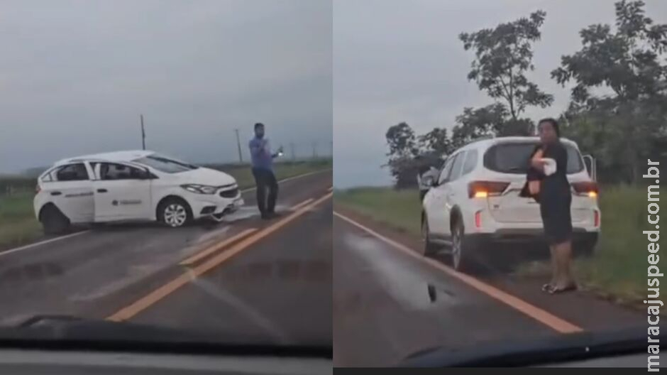 Motorista atropela anta na BR-060, em Sidrolândia