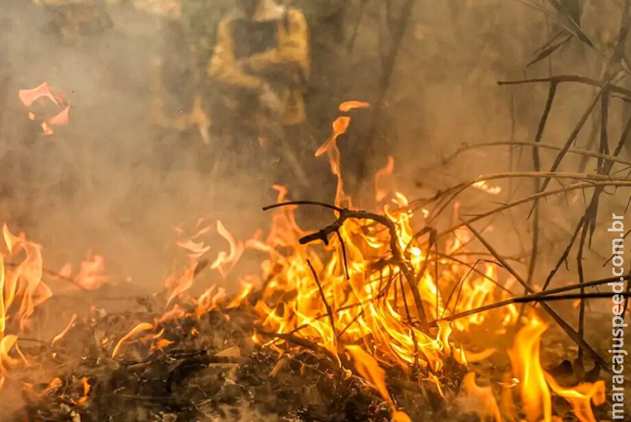 MPMS apura incêndio em fazenda de Bonito MPMS apura incêndio em fazenda de Bonito