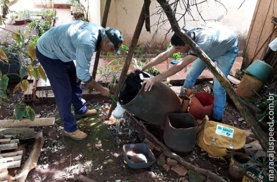 MS registra nove mortes por dengue e duas por chikungunya MS registra nove mortes por dengue e duas por chikungunya