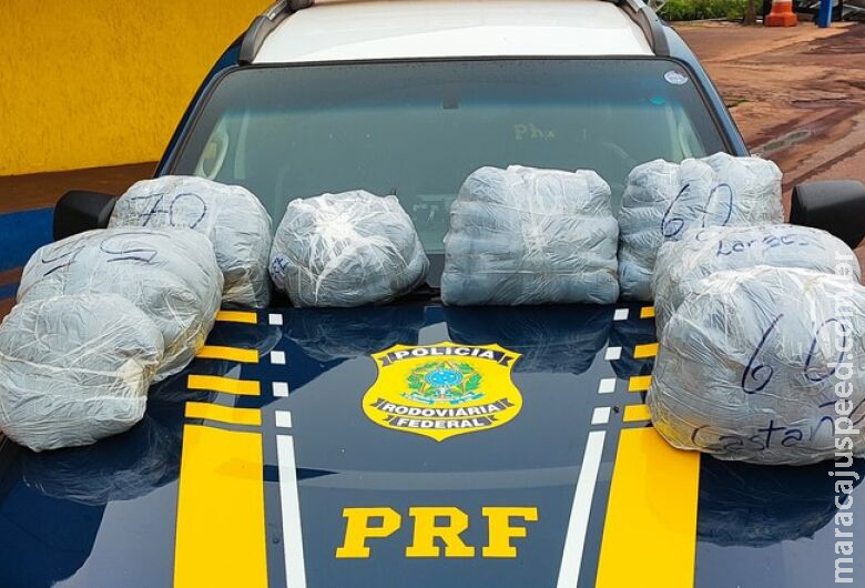 Polícia apreende mais de 80kg de cabelo humano após contradição de motorista Polícia apreende mais de 80kg de cabelo humano após contradição de motorista