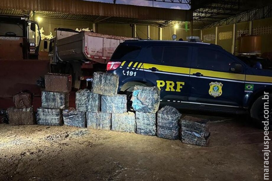 PRF faz outra grande apreensão de cocaína em caminhão com minério PRF faz outra grande apreensão de cocaína em caminhão com minério