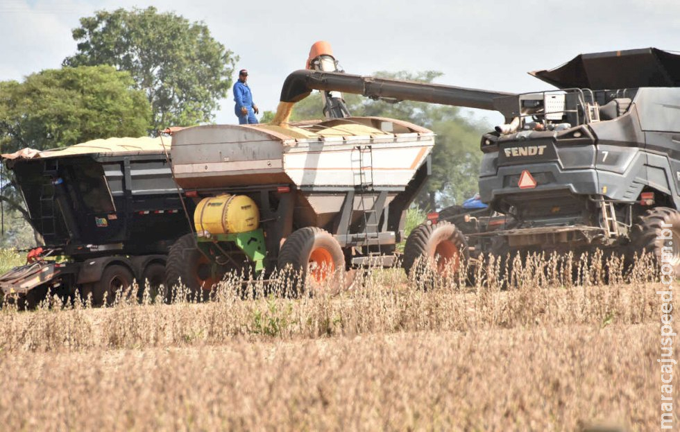 Produtividade de soja em Mato Grosso do Sul fica abaixo do custo da safra