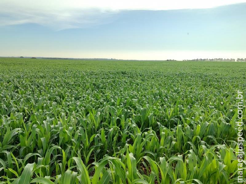 Alerta meteorológico pede atenção aos agricultores do Estado