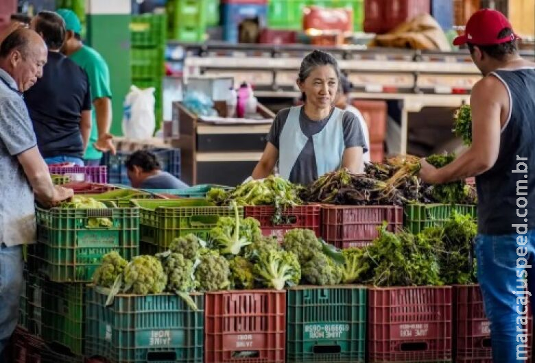 Anvisa inicia monitoramento de resíduos de agrotóxicos em alimentos Anvisa inicia monitoramento de resíduos de agrotóxicos em alimentos