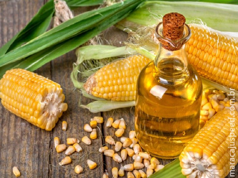 Brasil exporta US$ 15 bilhões em abril e registra recordes em produtos menos tradicionais Brasil exporta US$ 15 bilhões em abril e registra recordes em produtos menos tradicionais