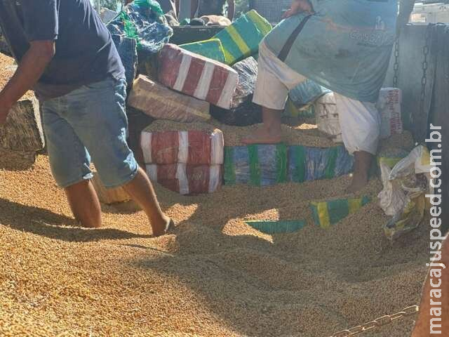 Caminhoneiro que saiu de MS é preso com 6,8 toneladas de maconha no litoral Caminhoneiro que saiu de MS é preso com 6,8 toneladas de maconha no litoral