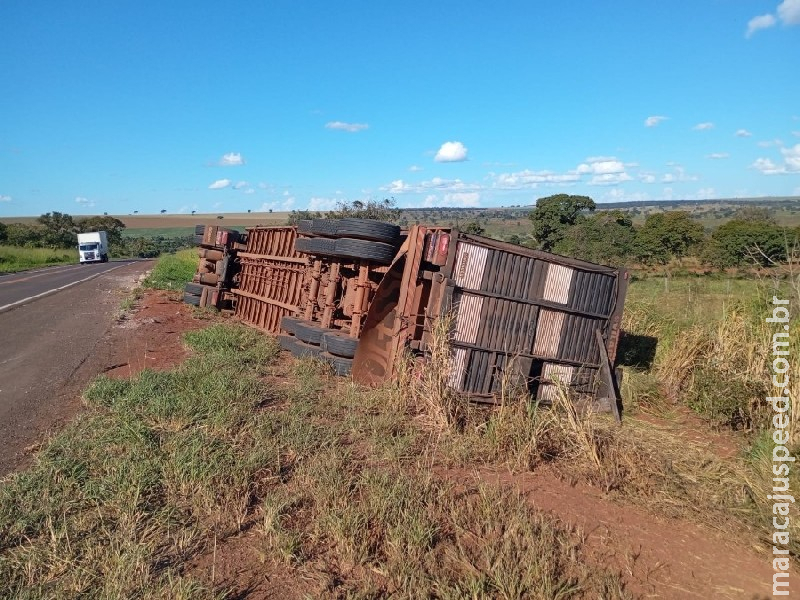Carreta carregada de gado tomba na BR-267, em Nova Andradina Carreta carregada de gado tomba na BR-267, em Nova Andradina