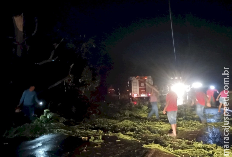Chuva com vento derruba árvore e interdita BR-376 entre Fátima do Sul e Dourados Chuva com vento derruba árvore e interdita BR-376 entre Fátima do Sul e Dourados