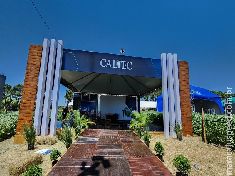 Com aumento de até 20% na produtividade da soja, óxidos de cálcio e magnésio são apresentados em estande no Showtec 2025 Com aumento de até 20% na produtividade da soja, óxidos de cálcio e magnésio são apresentados em estande no Showtec 2025