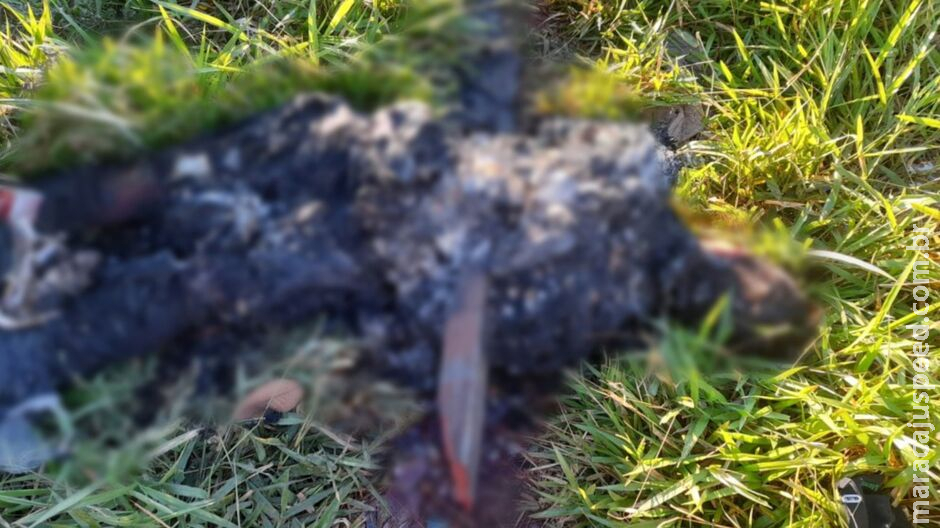 Corpo é encontrado carbonizado e atravessado por estaca em Ponta Porã Corpo é encontrado carbonizado e atravessado por estaca em Ponta Porã