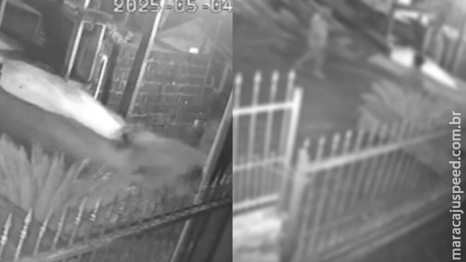 Criança de 6 anos morre após batida com bicicleta sem freios em ladeira no Paraná Criança de 6 anos morre após batida com bicicleta sem freios em ladeira no Paraná
