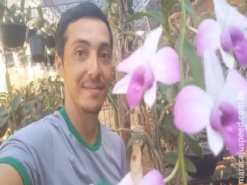 Cultivo de 400 orquídeas é terapia de promotor de vendas que há 17 anos se apaixonou pela planta Cultivo de 400 orquídeas é terapia de promotor de vendas que há 17 anos se apaixonou pela planta